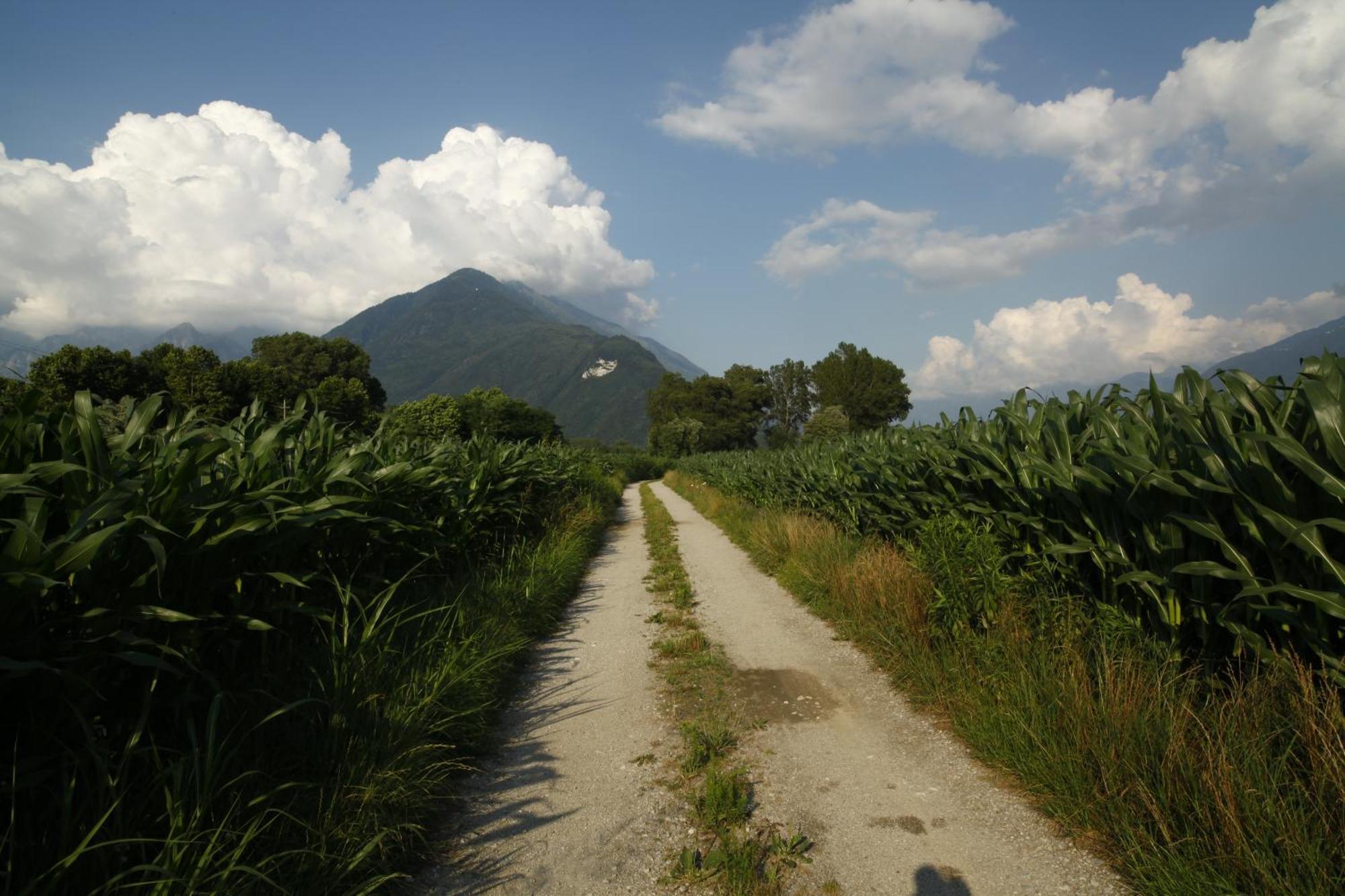 Aparthotel Cascina Borgofrancone Gera Lario Exterior foto